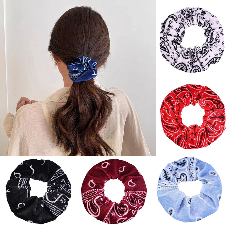 Hair Tie Velvet - 3PCS/4PCS/7PCS Fluwelen Paisley elastische hoofdband Haarband