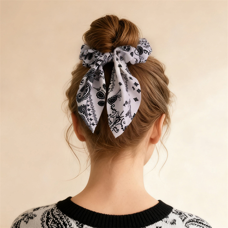 2 stuks/set bedrukte haarelast - Hair Tie Velvet recensie en prijs