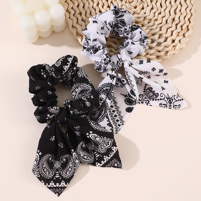 2 stuks/set bedrukte haarelast - Hair Tie Velvet recensie en prijs
